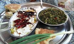 Zeytinyağı, Otlar ve Harmandalı Ege’den Gelen Sıcaklık