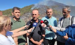 AK Parti Antalya Milletvekili Çavuşoğlu, Alanya'da yangın bölgesini ziyaret etti