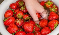 Çileğin Tazeliğini Korumak İçin Uzman Önerisi