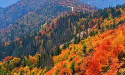Kaçkar Dağları İkizderede Sonbahar Renkleriyle Büyülüyor