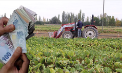 Tarımsal Destek Ödemeleri Başladı!