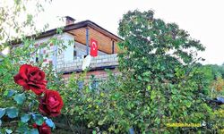 Osmaniye’nin Saklı Güzelliği Kaypak Köyü