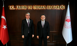Gülsoy, Osmaniye Yatırımları İçin Bakan Yumaklı ile Görüştü