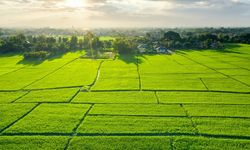 Osmaniye’de Yağış Uyarısı Gübre Risk Altında