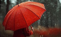 Meteoroloji’den 17 İl İçin Sağanak Uyarısı