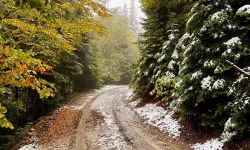İstanbul’a Komşu Kentler Beyaza Büründü!