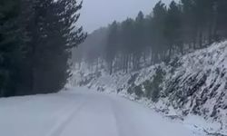 Adana’nın Yüksek Kesimlerinde Yoğun Kar Yağışı