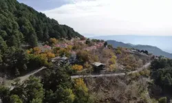 Aydın Paşa Yaylası Sonbaharın Renk Cümbüşüne Büründü