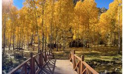 Bahçesaray’da Sonbahar Manzarası Görenleri Hayran Bırakıyor