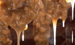 Geleneksel Cevizli Sucuk ve Pestil Mesaisi Başladı