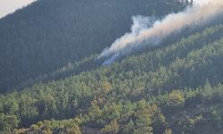 Bozyazı'da çıkan örtü yangını kontrol altına alındı