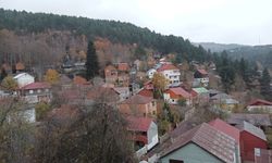 Büyük Küreci Yaylası’nda Bahar Manzaraları