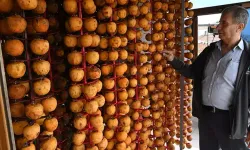 Çanakkaleli Çiftçi Kuruttuğu Hurmayla 2 Kat Kazanıyor