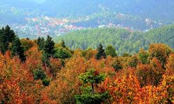 DAZ’da Sonbahar Renkleri Doğaseverleri Büyülüyor