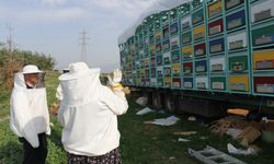 Düziçi’nde Arılı Kovan Tespit Çalışmaları Sürüyor