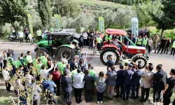Zeytinin Kalbi Ellek Beldesi'nde Atıyor