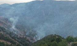 GÜNCELLEME - Hatay'da çıkan orman yangını kontrol altına alındı