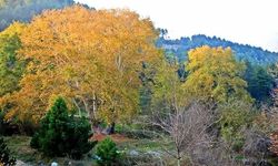 Haçbel’de Sonbahar Renkleri Büyülüyor