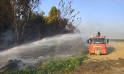 Hatay'da ağaçlık alanda çıkan yangın yayılmadan söndürüldü