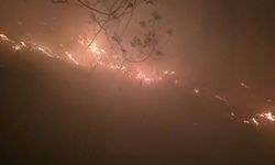 Hatay'da ormanlık alanda yangın çıktı