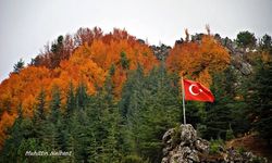 Hınzırlı Yaylası’nda Huzur ve Vatan Sevgisi Buluştu