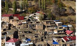 Hizan Uzuntaş Köyü Sonbahar Renkleriyle Büyülüyor