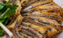 İstanbul’da Hamsi Kokusu Nasıl Giderilir 10 Pratik Yöntem