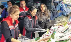 Kadıköy’de Balık Denetimi Tezgâhlar Uygun Sorun Denizde