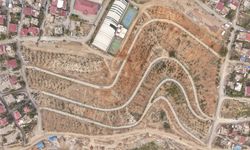 Kahramanmaraş'ta karbon emiliminin artırılması için 75 dönüm alan ağaçlandırılıyor