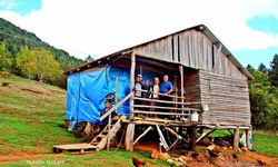 Kızlarufacıığı Yaylası İslahiye Yaylalarının Cennet Köşesi