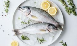 Levrek Balığının Büyüğüne Ne Denir Kaba mı Paşa mı?