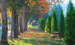 OKÜ Kampüsünde Sonbahar Güzelliği