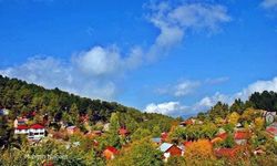 Osmaniye Yaylalarında Kartpostallık Anlar