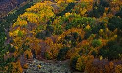 Osmaniye’de Amanoslar Sonbaharda Kartpostallık Oldu