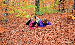 Osmaniye’de Zorkun Yaylası Keldaz Güzellikleriyle Büyülüyor