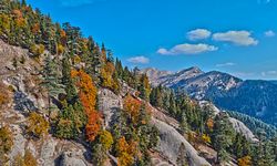Toklu Yaylası Osmaniye’nin Yükselen Turizm Noktası