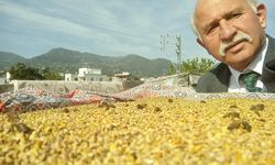 Topal "Arı Poleni Allah’ın Bizlere Verdiği En Değerli Şifa Kaynağı”