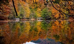 Yedigöller Sonbaharda Renk Cümbüşüyle Büyülüyor