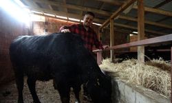 Yoğun Temponun Ardından Hayvancılığa Adım Attılar