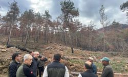 Alanya’daki Yangın Sahalarında Kritik İnceleme!