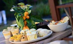 Antalya'nın tescilli portakalları tanıtıldı