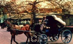 Bir Zamanlar Osmaniye Çınarlı Kahve ve Faytonlar
