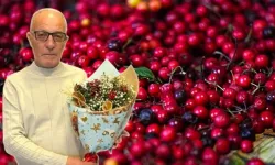 Bolu’da Aralık Ayının Gözdesi Kokina 400–500 TL