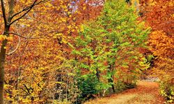 Çağşırlı Kabaörtlek ve Gürdük’te Yıl Boyu Etkinlikler