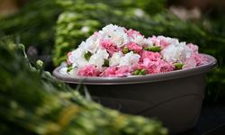 Çiçek sektörü Körfez ülkelerindeki pazar payını artırmak istiyor