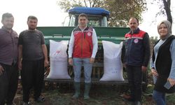 Düziçi’nde Buğdayda Verim ve Kalite İçin Demo Ekimleri