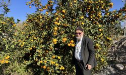 'Elmacı Dede' Hatay'dan aldığı mandalinaları Mehmetçiğe ulaştıracak