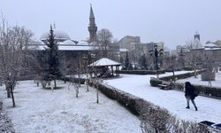 Erzurum, Kars, Ardahan ve Tunceli'de kar etkili oluyor