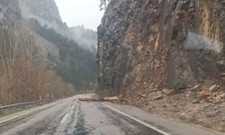 Feke-Saimbeyli Yolunda Yağış Nedeniyle Ağaç Devrildi