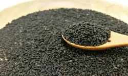 Osmaniye’de Fesleğen Tohumu Rüzgârı: Sağlığa Faydaları Nelerdir?